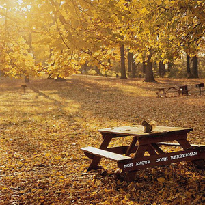 私人航空2满天星观看
