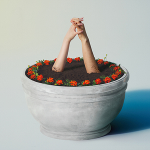 私人航空2满天星观看
